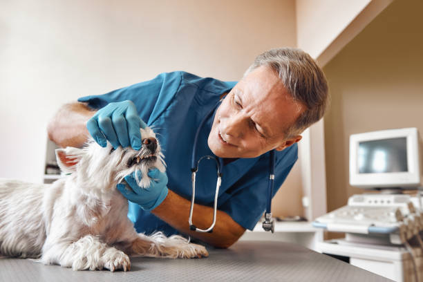 Best Same-Day Emergency Dental Services in Fort Pierce, FL